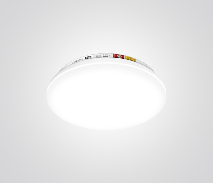 FIRE EMERGENCY CEILING LIGHT