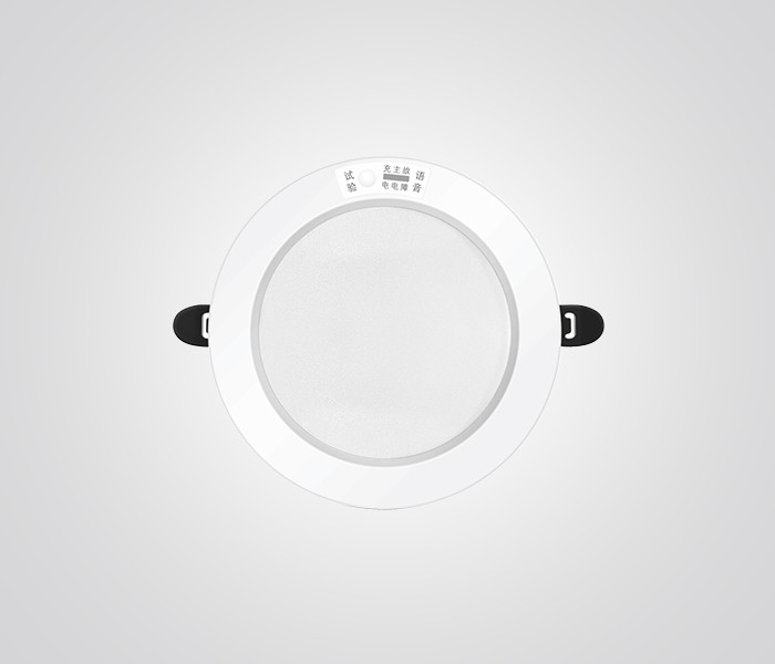 FIRE EMERGENCY DOWNLIGHT